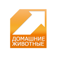 channel